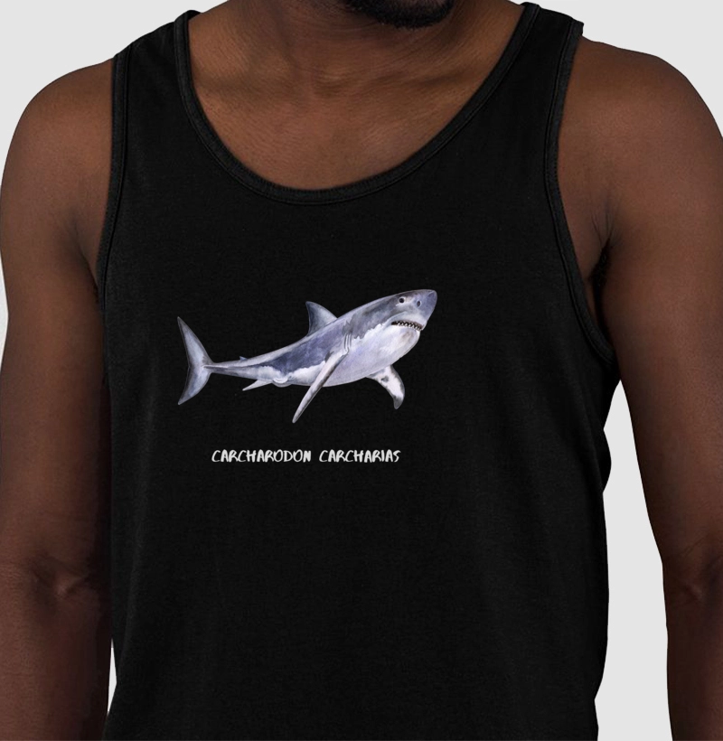 Carcharodon carcharias