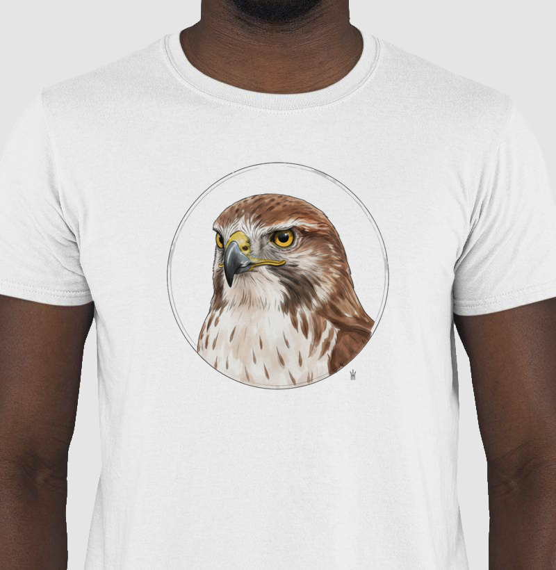 Animais de Poder - Gavião