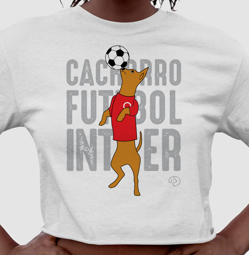 Cachorro Futebol Inter