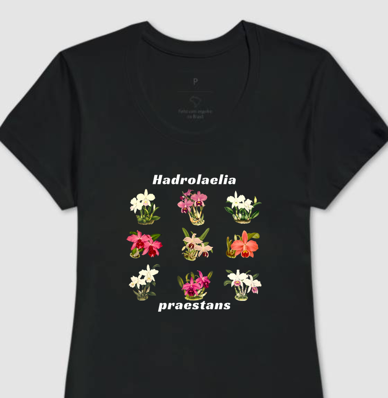Camiseta Feminina Hadrolaelia (Laelia) praestans