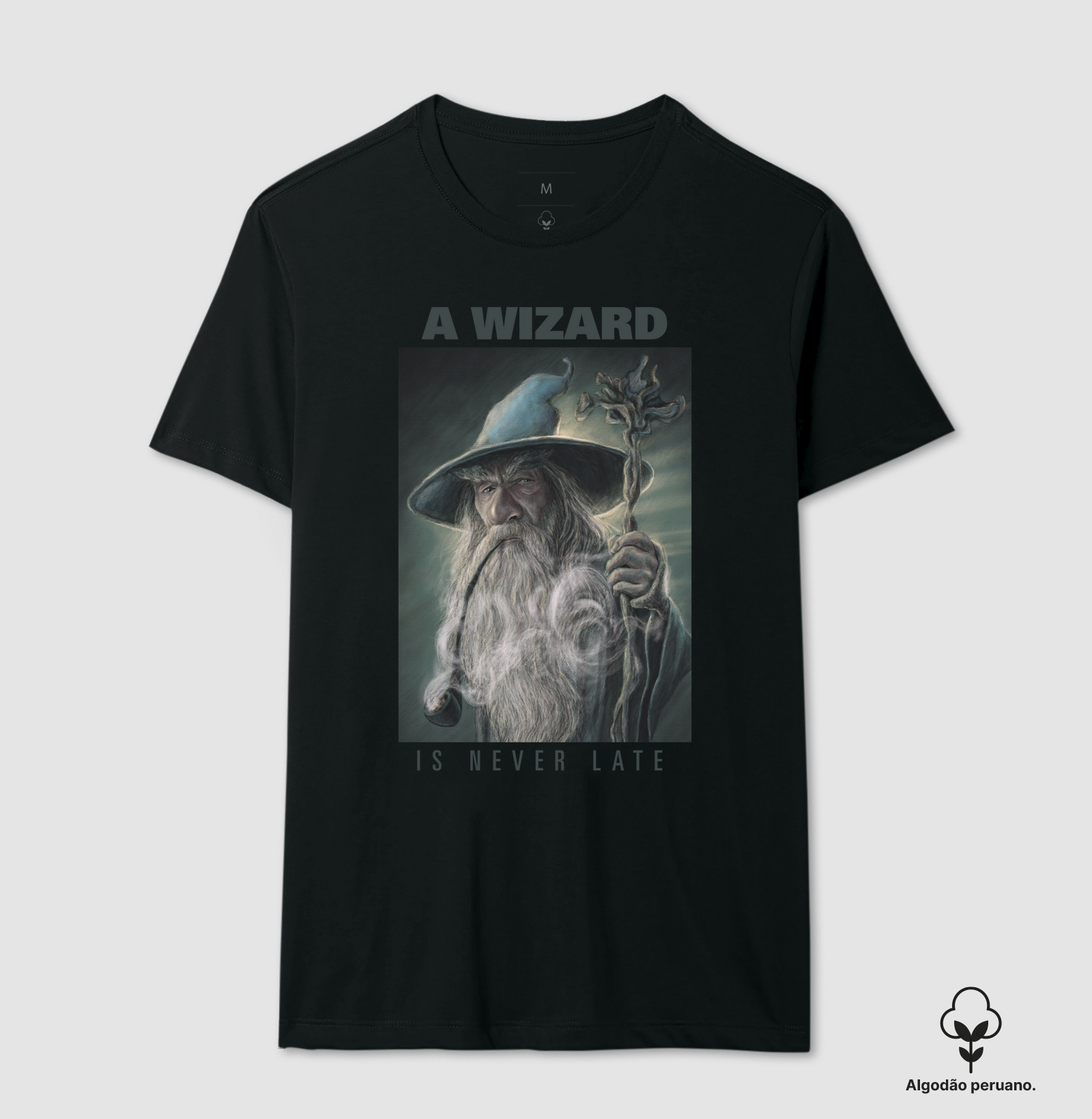 A Wizard Is Never Late