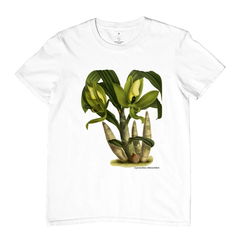 Camiseta Cycnoches chlorochilon
