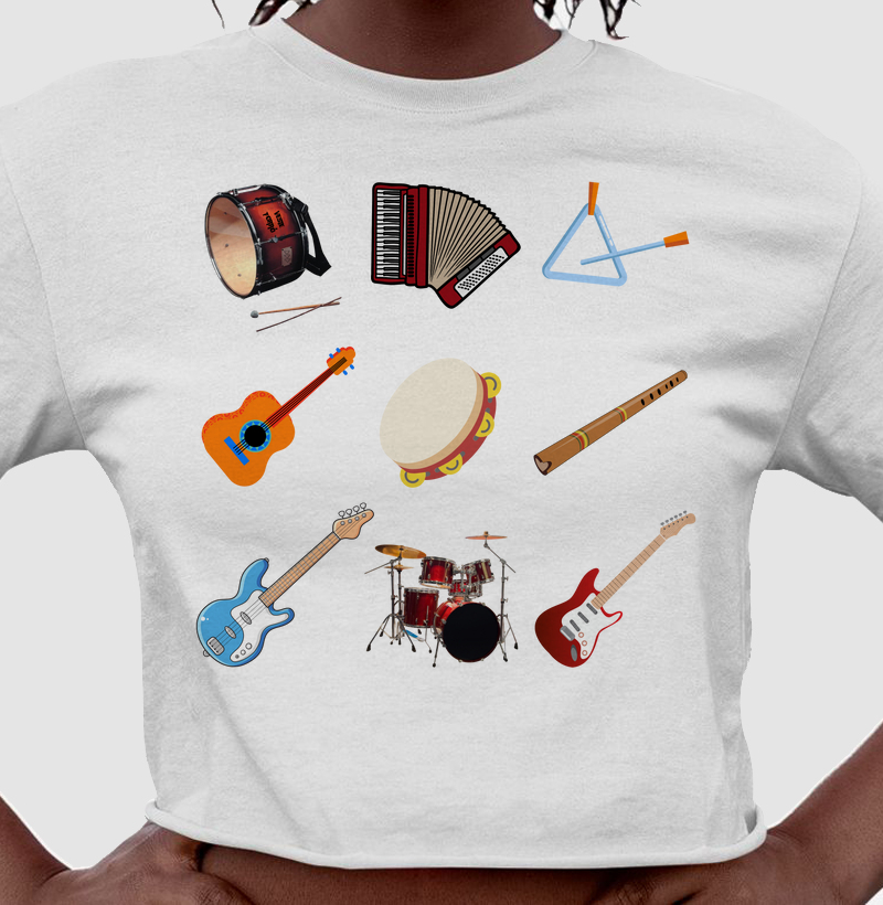 Instrumentos do Forró