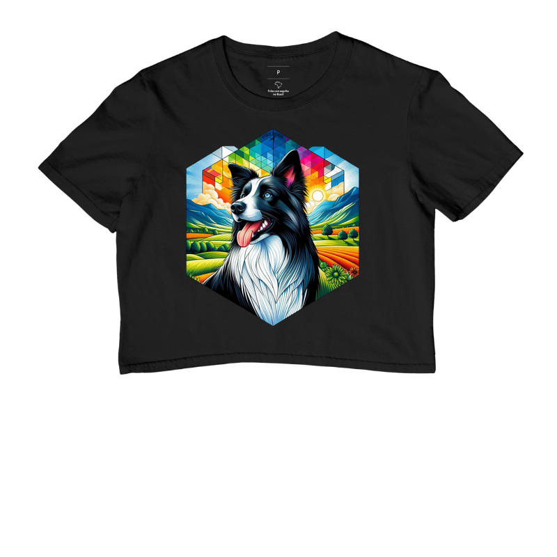 Border Collie Colorful