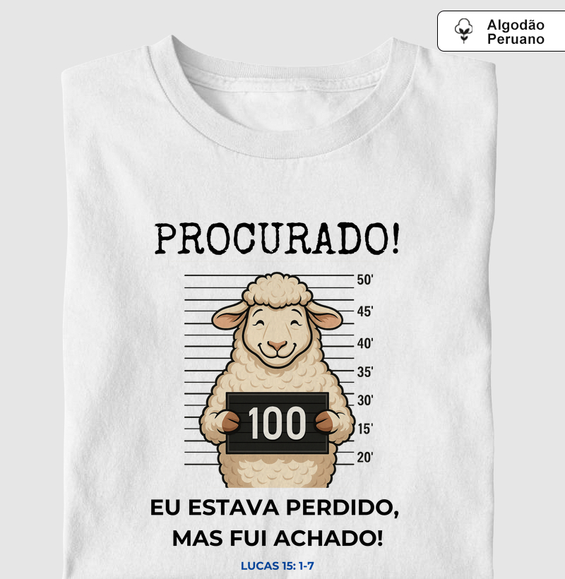 Ovelha Encontrada