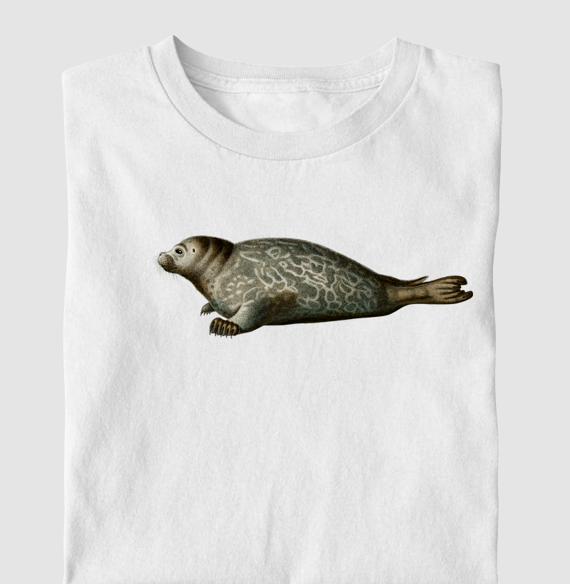 Phoca