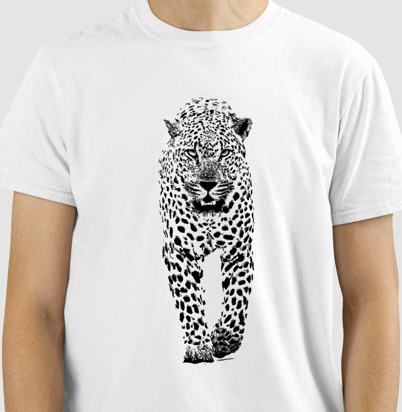 Leopardo