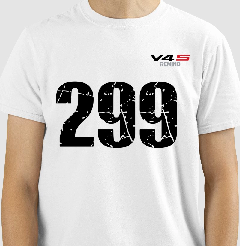 V4S 299