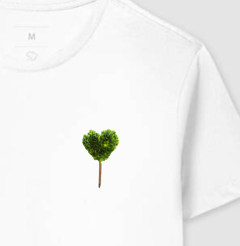 Amor de plantinha