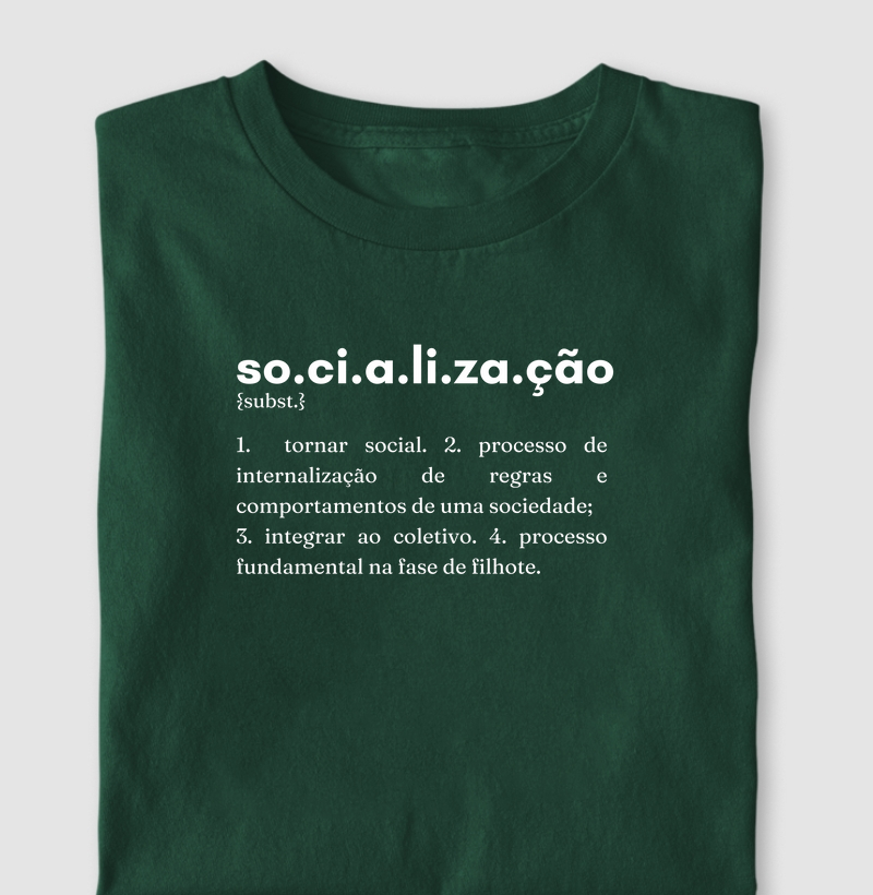 Socialização Dicionário