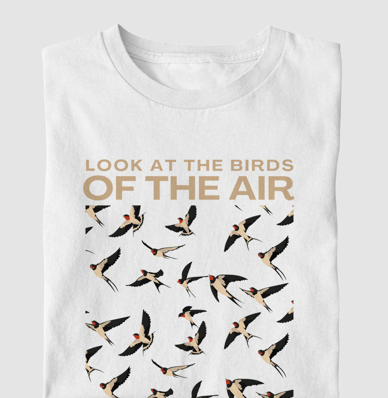 Look at the birds - Passagem bíblica