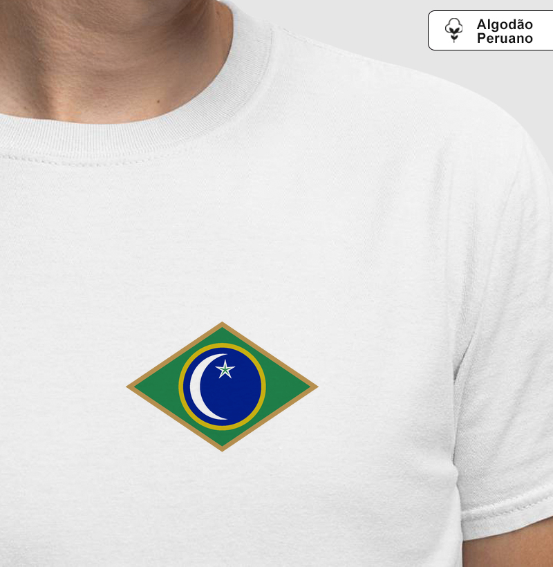 Bandeira Santa Maria 