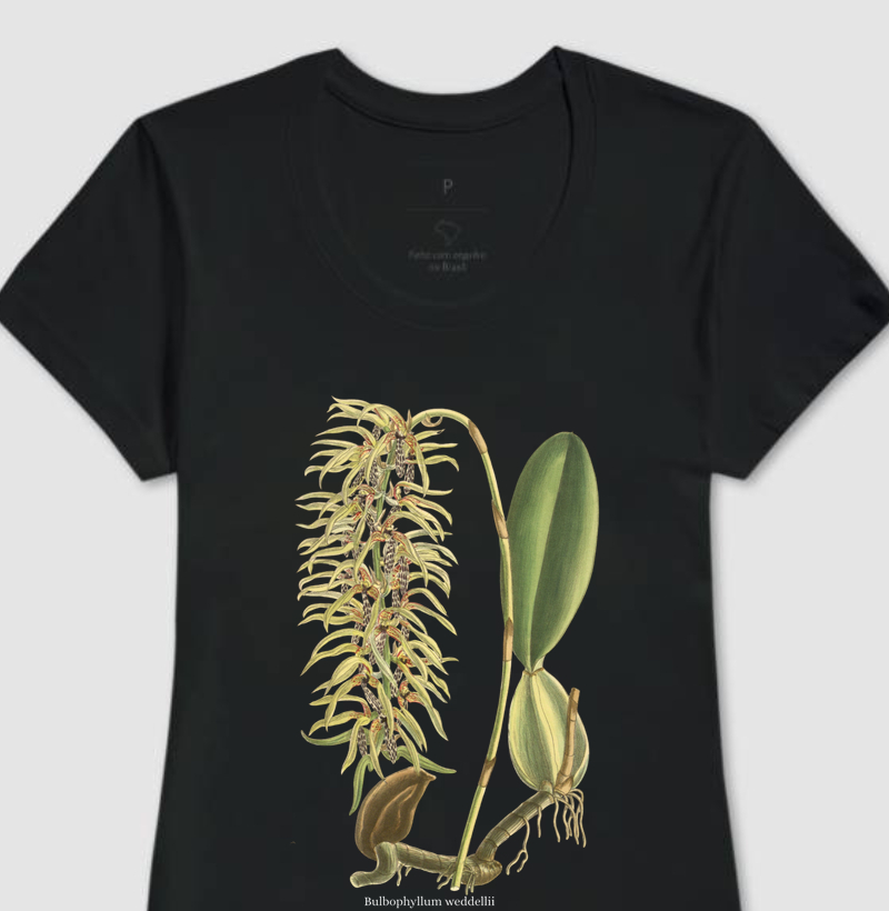 Camiseta Feminina Baby Long Bulbophyllum weddellii