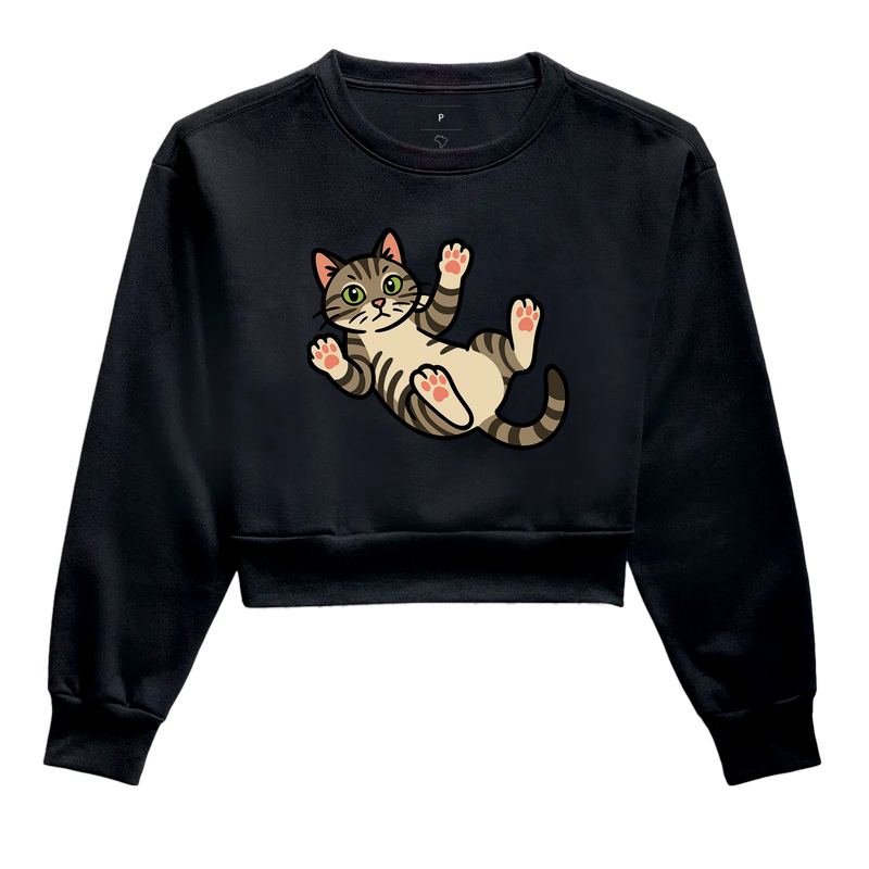 American Shorthair Deitado