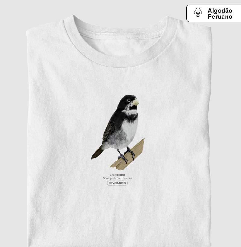 Aves do Brasil - Coleirinho - Algodão Peruano