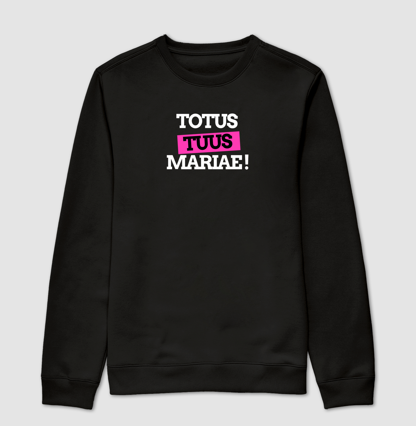 Totus Tuus Mariae !