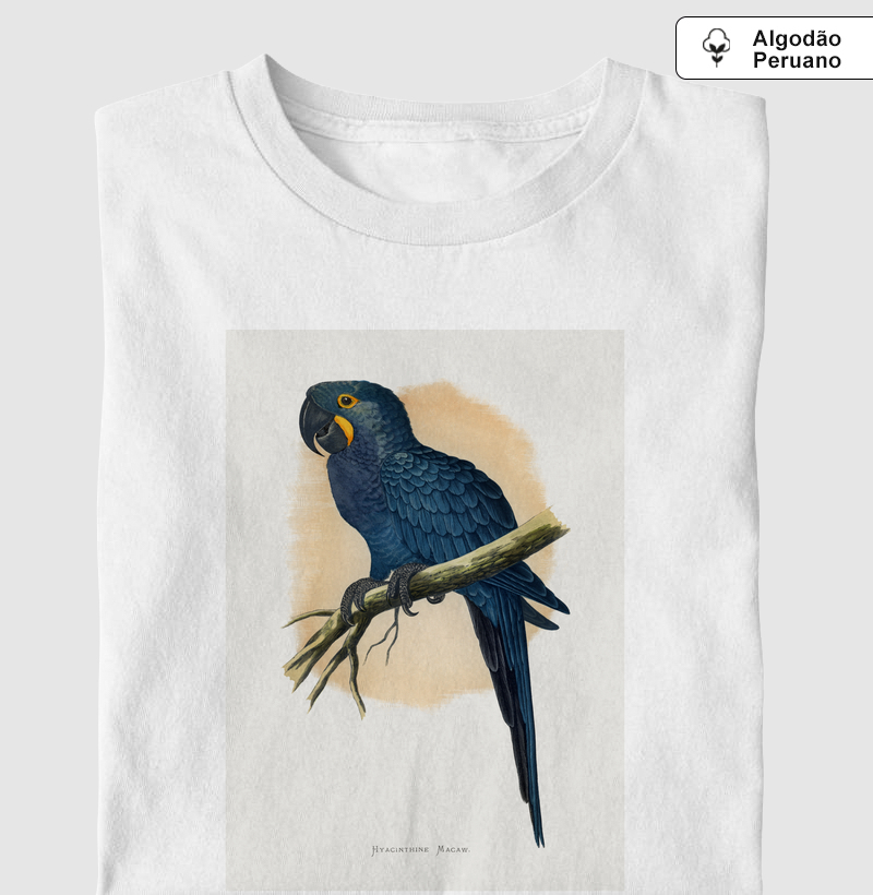 Arara-azul