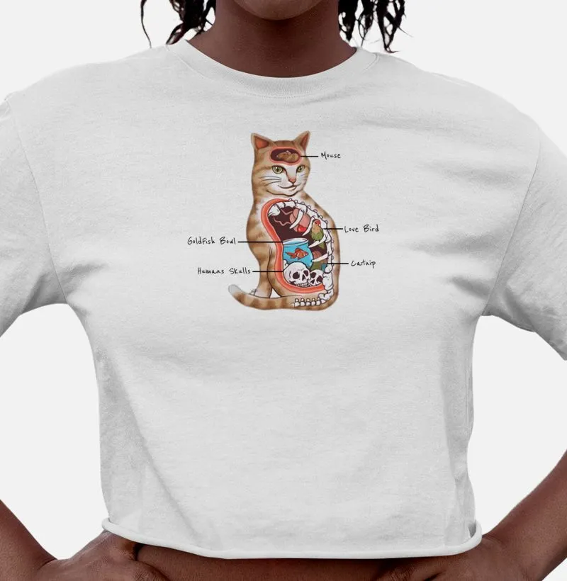 Cats Anatomy