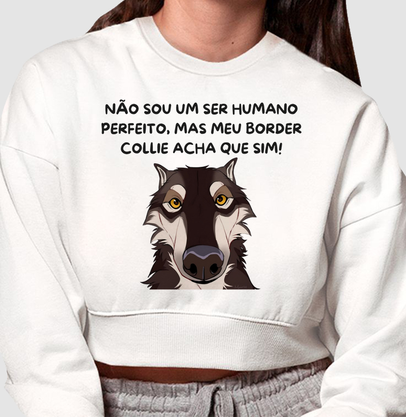 Não sou perfeito, mas meu border acha que sim