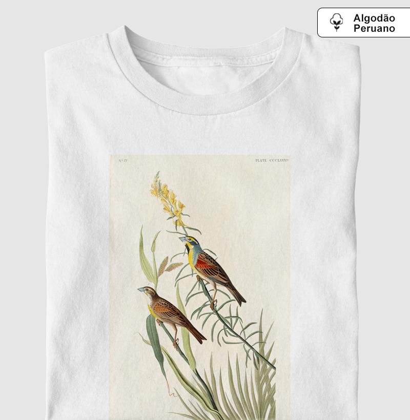 Black-Throated Bunting