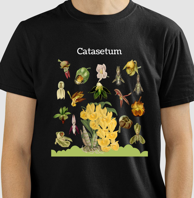 Camiseta T-Shirt Catasetum