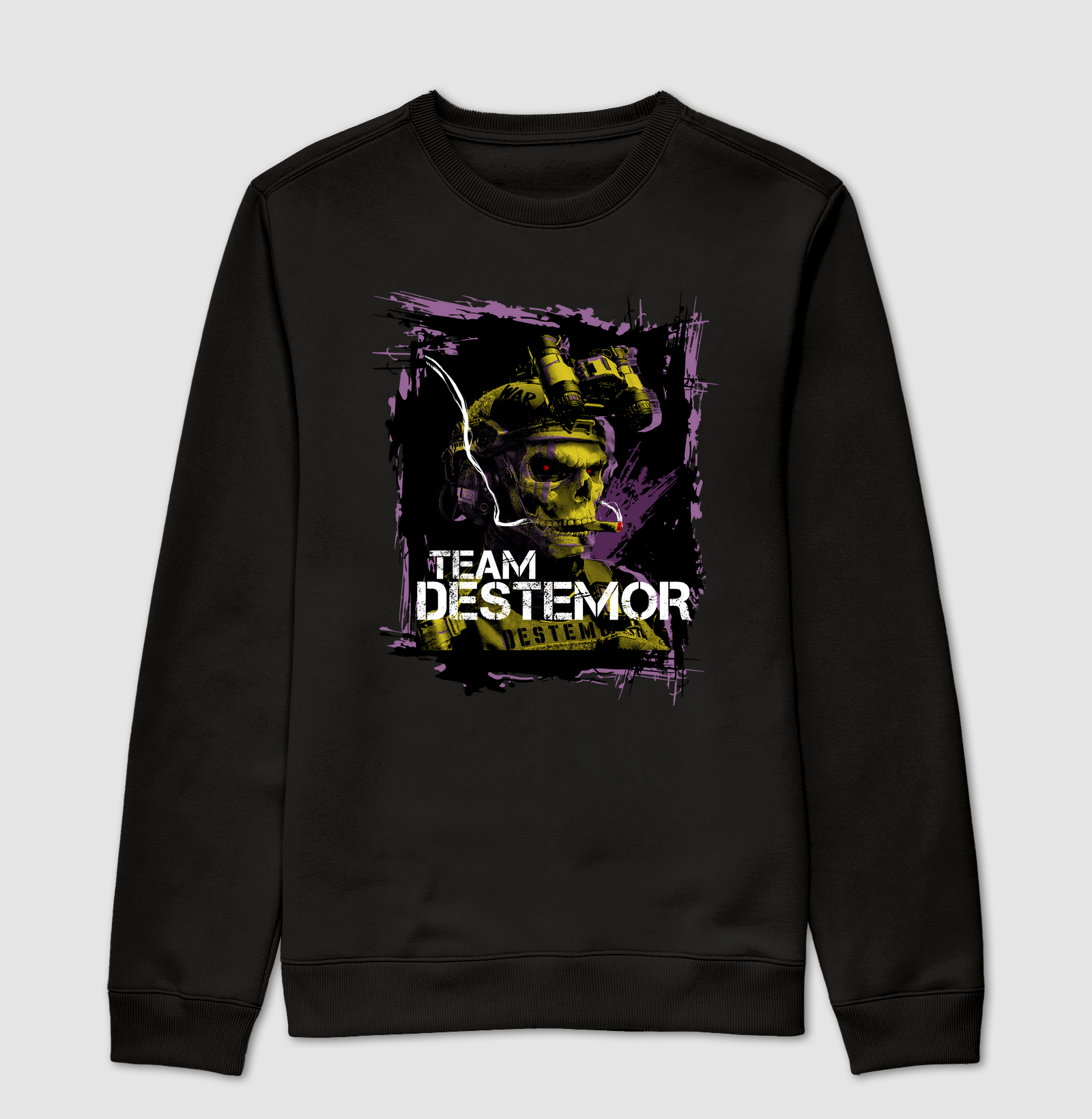 TEAM DESTEMOR