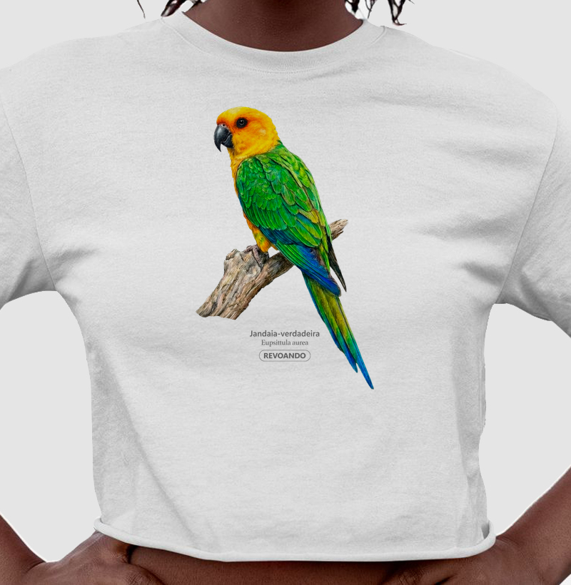 Traços Alados - Jandaia-verdadeira - Cropped