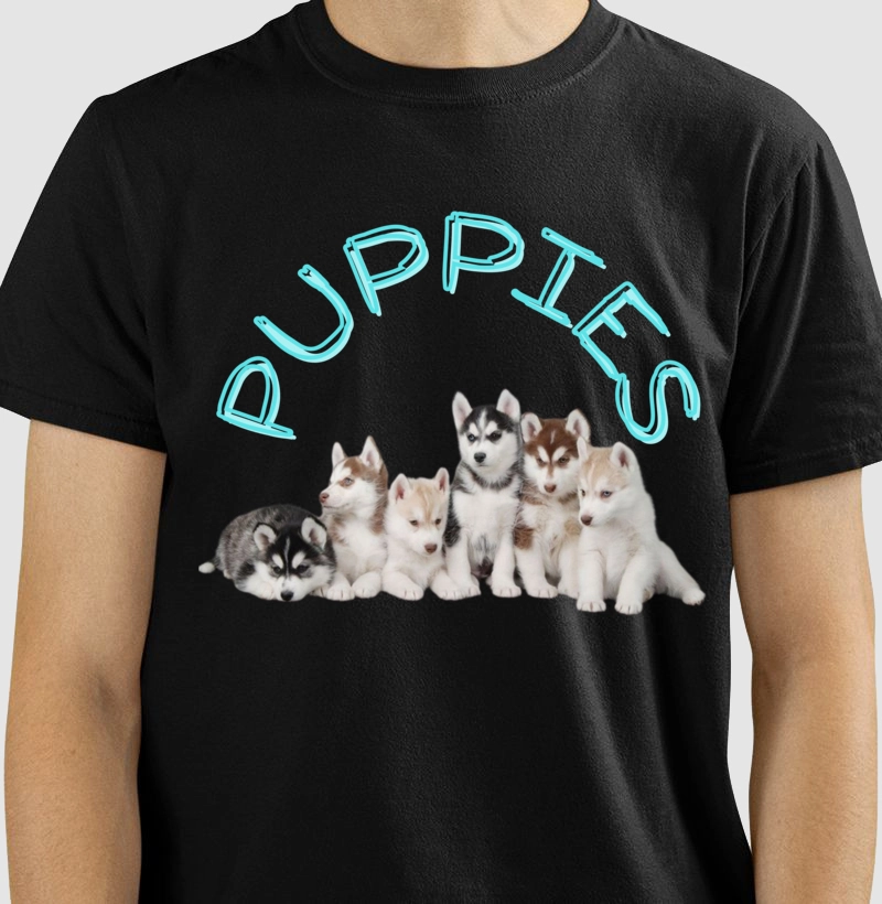 Husky puppies black