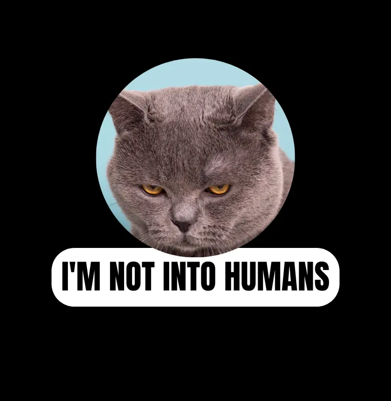 I'm not into humans