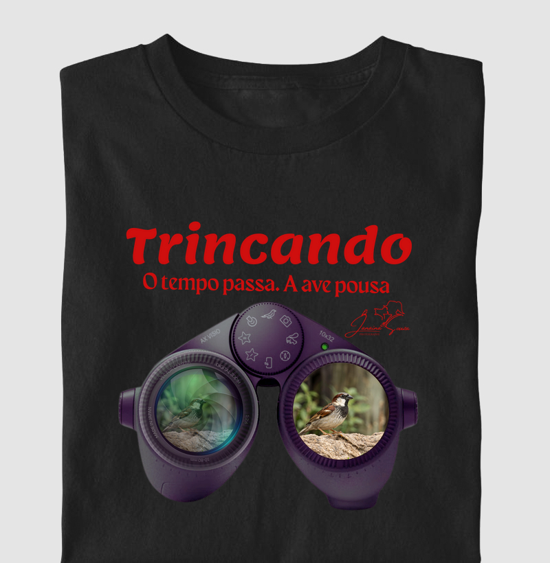 Coleção Observadores 1.0