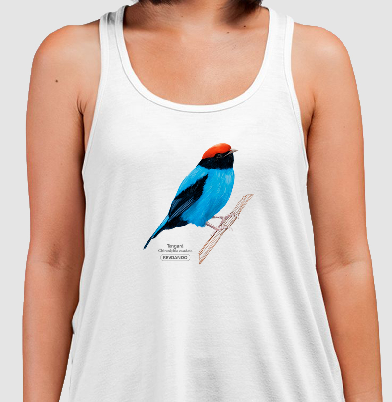 Aves do Brasil - Tangará - Regata