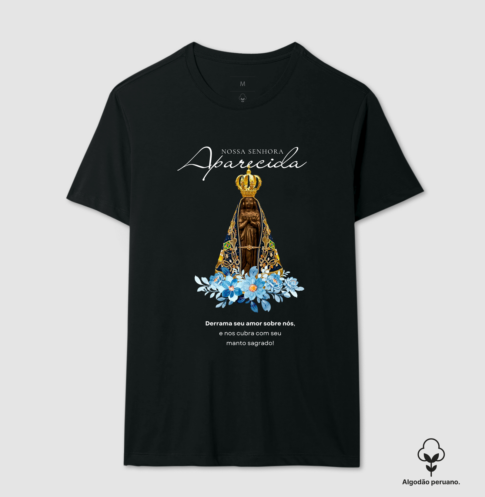 Nossa Senhora  Aparecida