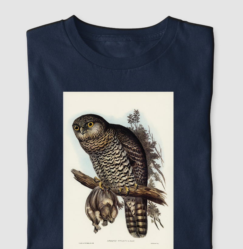 Powerful Owl