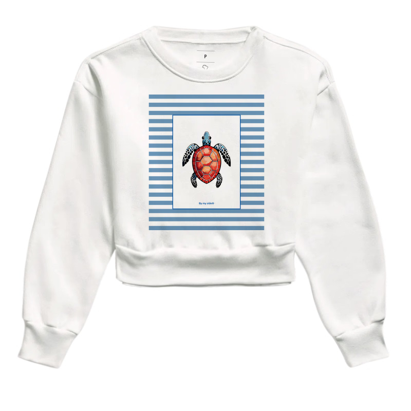 Tartaruga 01