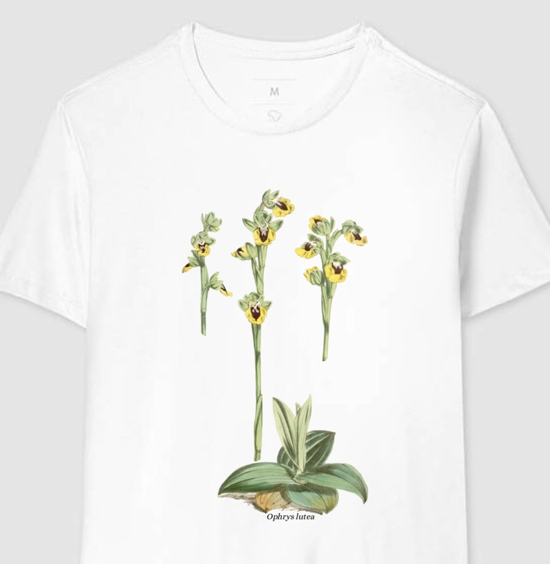 Camiseta Ophrys lutea t-shirt