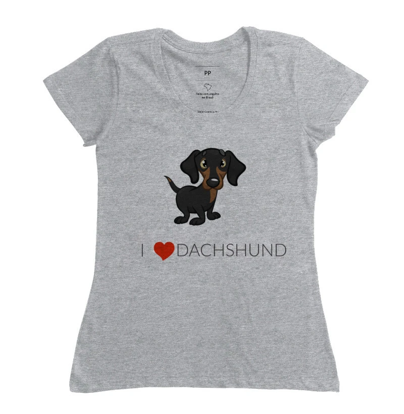 Dachshund 