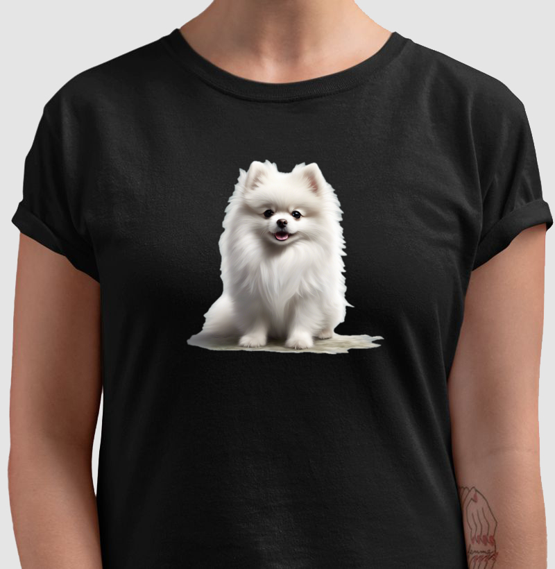 Spitz Lulu da Pomerânia Branco