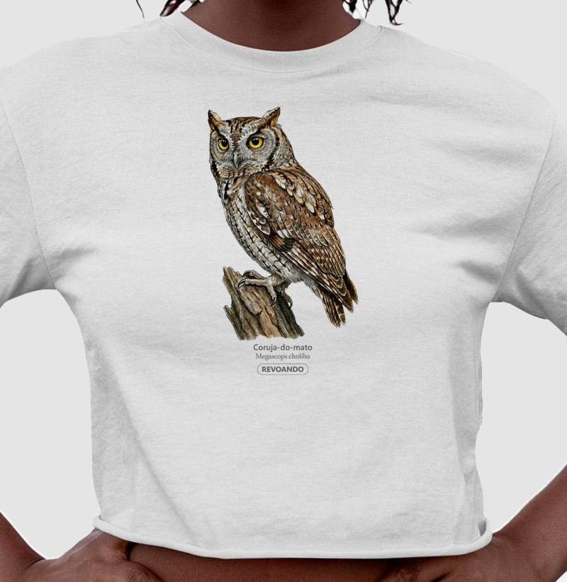 Traços Alados - Coruja-do-mato - Cropped