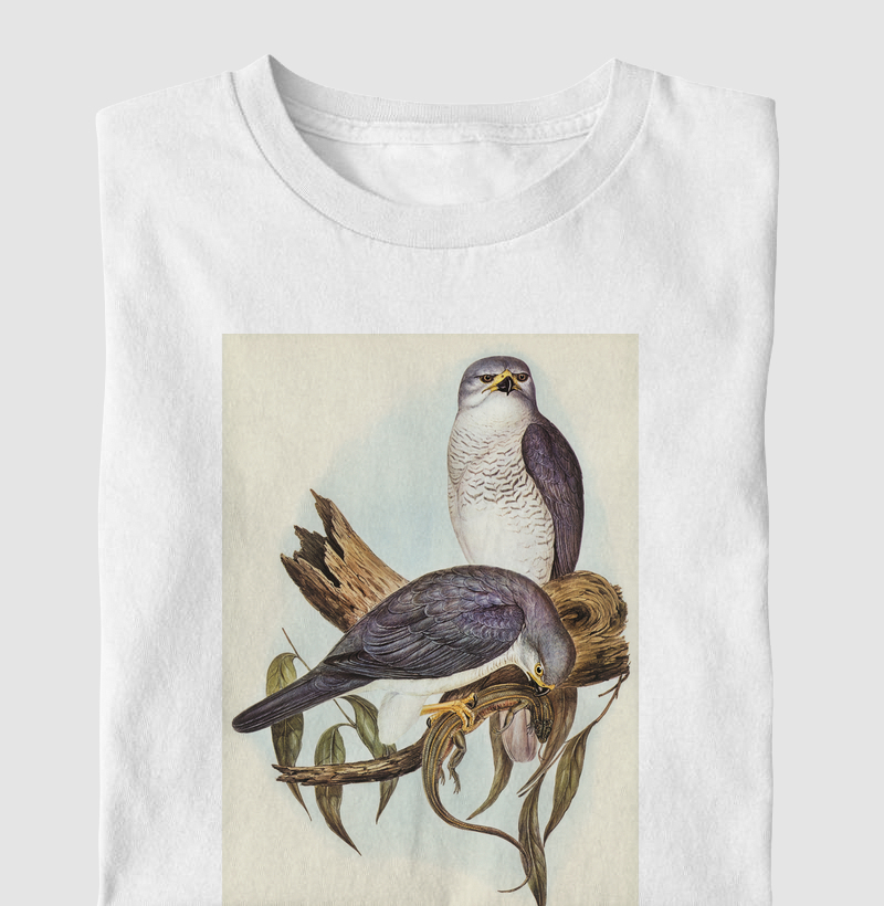 New Holland Goshawk