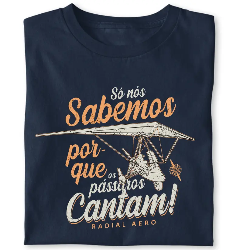 Como os pássaros