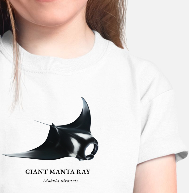 Giant Manta Ray