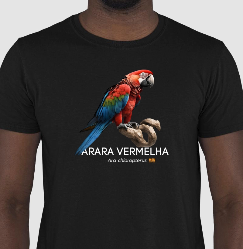 Arara vermelha II