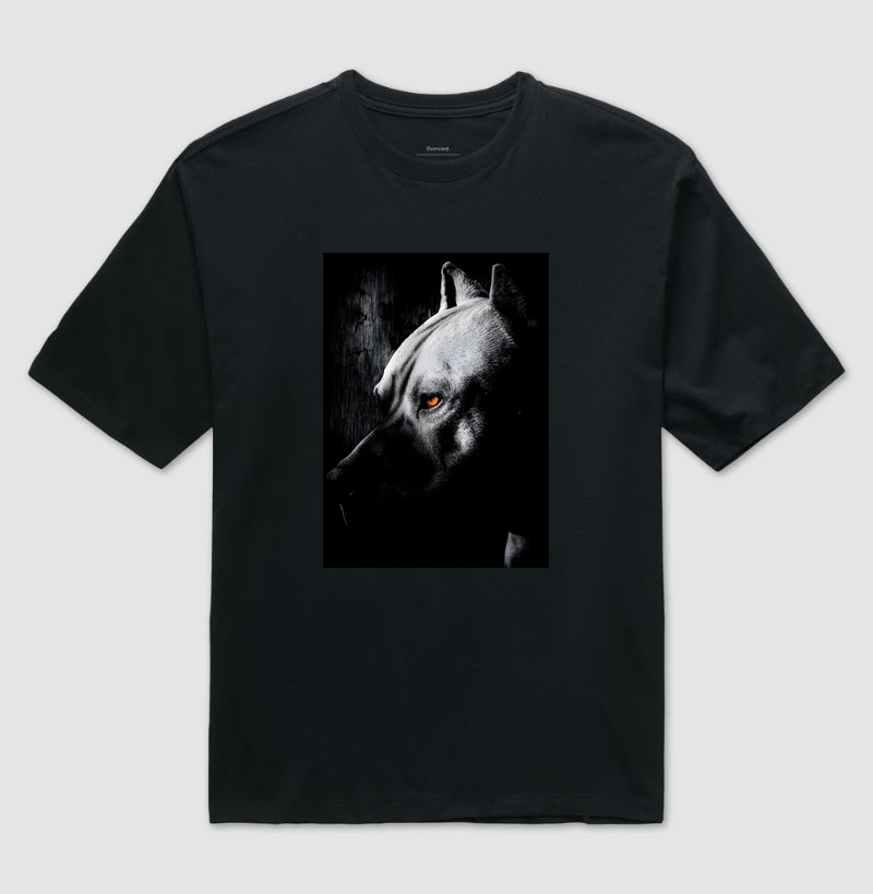 PITTIE OLHAR DE ÂMBAR