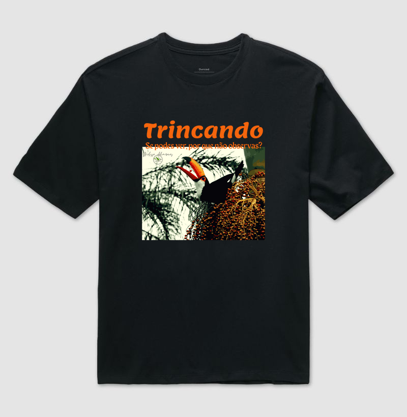 Coleção Observadores 1.0