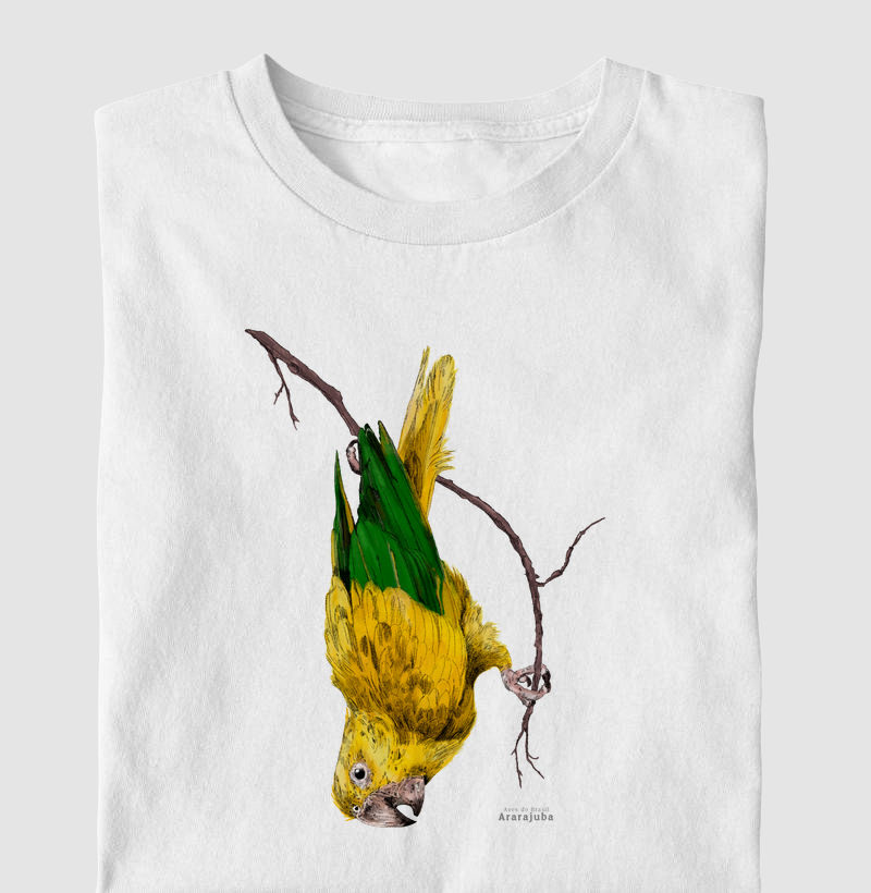 Aves do Brasil - Ararajuba