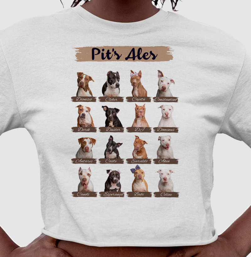 Cropped Listras de Pit's Ales