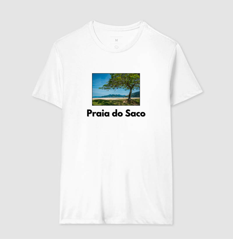 Praia do Saco - Arvore