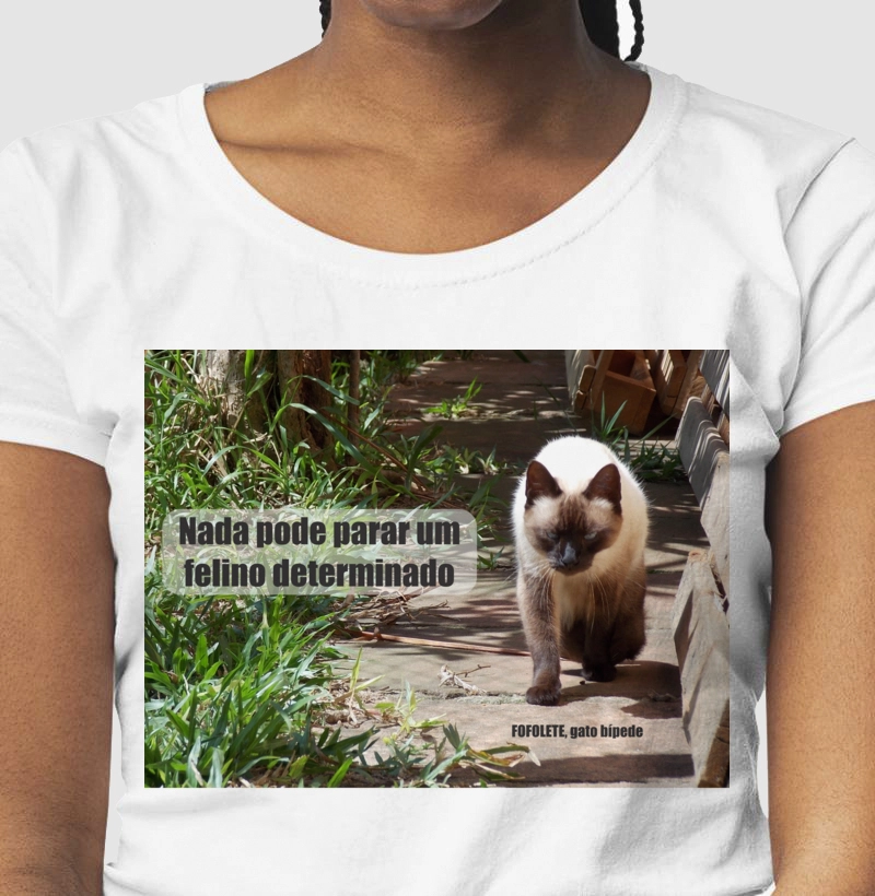 Fofolete, gato determinado