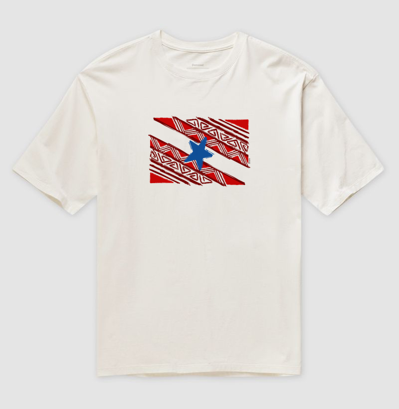 Bandeira do Pará Grafismo