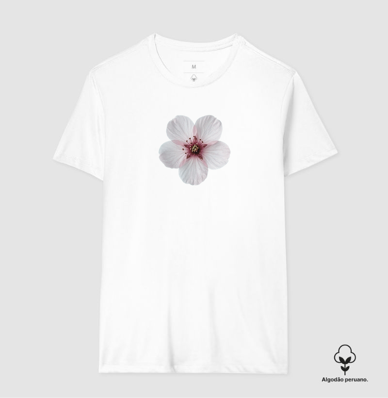 Sakura – A Beleza do Agora